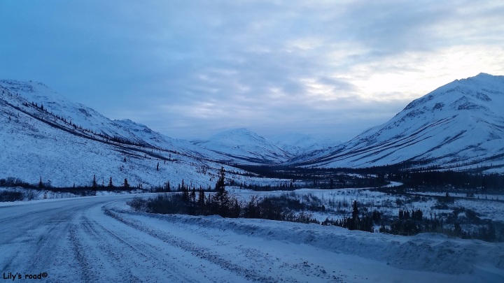 Lily's road_PVT Canada_Dempster Highway en hiver