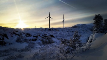 Le champ d'éoliennes de Whitehorse. ©Kelly Tabuteau